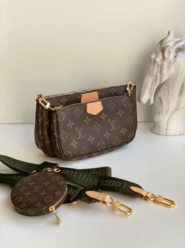 Louis Vuitton Multi Pochette Accessoires  bag